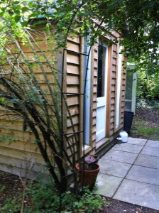 My 100 year-old studio at the bottom of the garden 